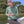 Nora 2.0 Hooded Shirt - UPF 50+