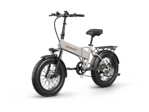 Dachshund Ebike