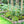 Decorative Garden Fence with 5 Panels and 5 Stakes-Black