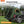 5.5-6.7ft Easy Setup Pickup Truck Bed Tent,Green