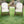 Tete-a-Tete Chair Set in Dining, Counter & Bar Heights