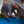 Double V Sleeping Pad - Blue