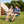 Double Camping Chair with Carry Bag Cup Holders