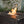 Dynasty Rectangle Aluminum LPG Fire Pit