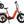 YOUNG Electric E-Flow 750W Folding eBike