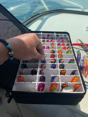 The Vault - 3 Sizes Available!