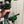 Three Wisemen Mount (Right handed) Nock2it, Wise Choice, First Choice