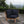 Marina Outdoor Patio Teak Corner Sofa by Modway