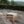 Marina Outdoor Patio Teak Ottoman by Modway