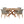 Wellspring 5-Piece Outdoor Patio Teak Wood Dining Set by Modway