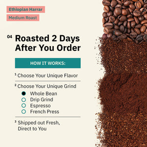 Kochere Coffee Ethiopian Harrar Coffee – Single Origin Natural Medium Roast - Fruity, Berry, Dark Chocolate Notes