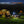 CL20R Pro Smart Multicolor Camping Lantern - TRAPSKI