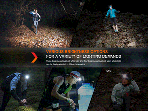 Fenix HM65R-T V2 Rechargeable Lightweight Trail Running Headlamp - TRAPSKI