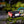 Fenix HM65R-T V2 Rechargeable Lightweight Trail Running Headlamp - TRAPSKI