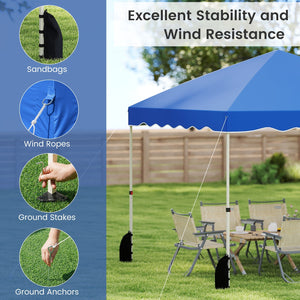 Foldable 10 X 10 Feet Pop up Canopy Tent with Wheeled Bag