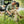 GCI Outdoor Freestyle Rocker Portable Rocking Chair & Outdoor Camping Chair