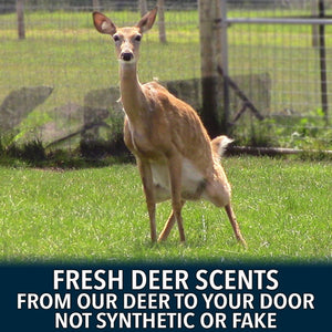 Deer Society Rut Package