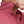 Crimson Pearl Snap Shirt | Long Sleeve - TRAPSKI
