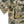 GameGuard Explorer Shirt