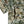 GameGuard Digital Explorer Shirt