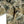 GameGuard Explorer Shirt | Long Sleeve