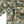GameGuard Digital Explorer Shirt | Long Sleeve