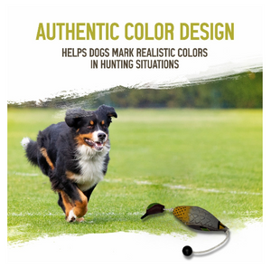 HuntEmUp Ultimate Dog Training Kit - Greenwinged Teal, Bag & Whistle