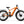 GoldenR Pro Ebike