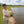 Grasshopper Fishing Rod