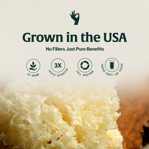 Organic Mushroom Tremella Half Caffeinated - Espresso
