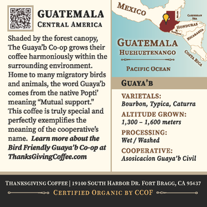 Guatemala Light Roast
