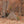 Hunting Blind - Mossy Oak Country Roots 3D Leafy