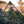 Hunting Blind - Mossy Oak Obsession 3D Leafy