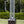 Hammered Bronze Finish Square Flame Patio Heater