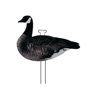 HuntEmUp Pro-Flock Canada Goose Decoys 24-Pack – Flocked Silhouettes + Decoy Bag