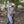 Alpine Gun Slicker V2 – Advanced Neoprene Rifle Cover for All-Weather Protection