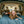 Homestead Cabin Comforter Blanket Queen - Blue