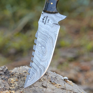 Morph Damascus Knife with Exotic Rose Wood & Resin Handle