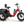 Husky Plus Etrike