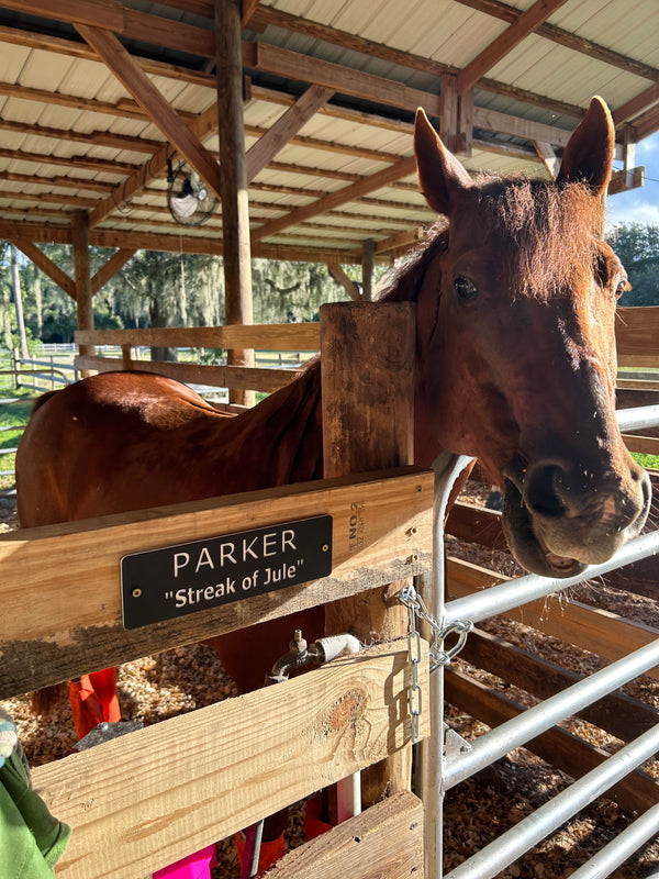 Horse Stall Signs 10 x 3 Inches or Custom!