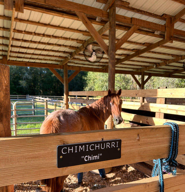 Horse Stall Signs 10 x 3 Inches or Custom!