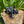 Gen-1 Ultraview Thumb Mount 3-4 Finger M-L (Right Handed)