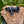 Gen-1 Ultraview Thumb Mount 3-4 Finger M-L (Right Handed)