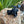 Gen 1 Ultraview Thumb Mount 3-4 Finger M-L (Left Handed)