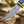 Champion Hunting Knife with Exotic Rosewood & Bone Handle