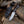 Captain Damascus Hunting Knife with Gut Hook & Exotic Wenge Wood Handle