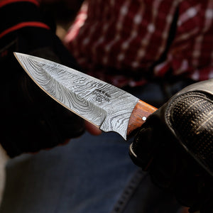 Starlight Damascus Hunting Knife with Exotic Rosewood & Ram Horn Handle