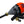 Addicted Steelhead Float System Orange - TRAPSKI