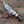 Nova Damascus Hunting Knife with Bone & Exotic Wenge Wood Handle