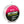 Beyond Fluorocarbon Leader Material 50YD - Pink Or Clear - TRAPSKI